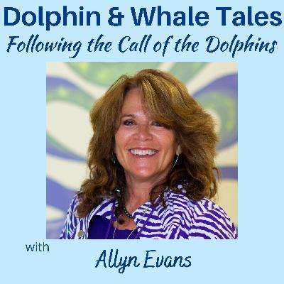 20 Following the Call of the Dolphins with Allyn Evans