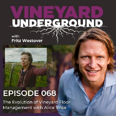 068: The Evolution of Vineyard Floor Management with Alice Wise