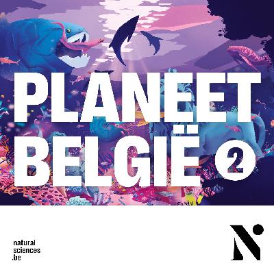 Planeet België – België als tropisch koraalrif (afl. 2/5)