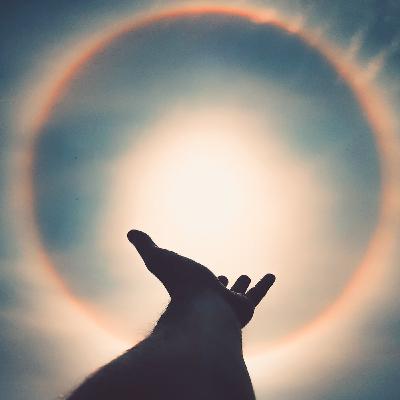 Entrevista a Jaime Guillen. Bioenergética. Biocore, Pathwork, Energia Vital