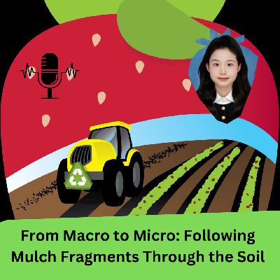From Macro to Micro: Following Mulch Fragments Through the Soil From Macro to Micro: Following Mulch Fragments Through the Soil