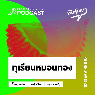 ทุเรียนหมอนทอง 【พันธุ์ณนา】 ทุเรียนหมอนทอง 【พันธุ์ณนา】