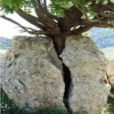 ٦ خصائص مهمة للمراهق علينا فهمها لمساعدته