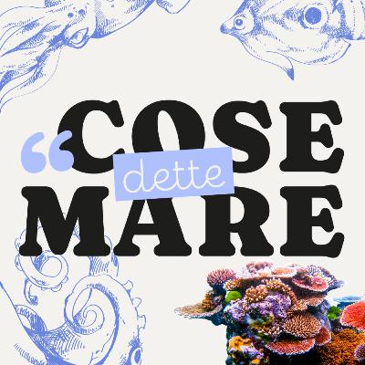 #23 - Extra: Basics sui Coralli