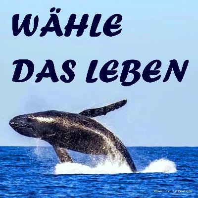 Du hast die Wahl