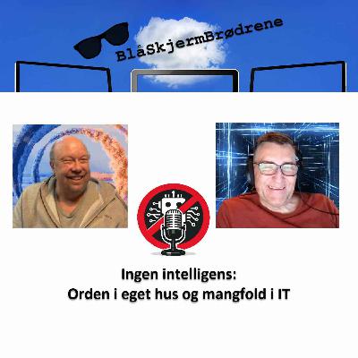 #26-01 Ingen intelligens: Orden i eget hus og mangfold i IT