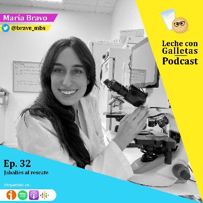 Ep. 32 Jabalies al rescate