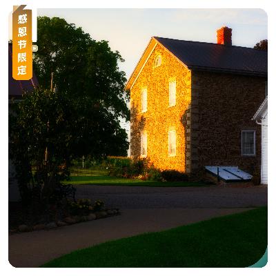 【感恩节限定】爱有回音，温暖相随