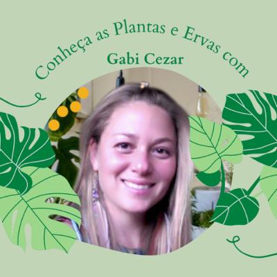 Conheça a Folha da Castanha da Índia Conheça a Folha da Castanha da Índia