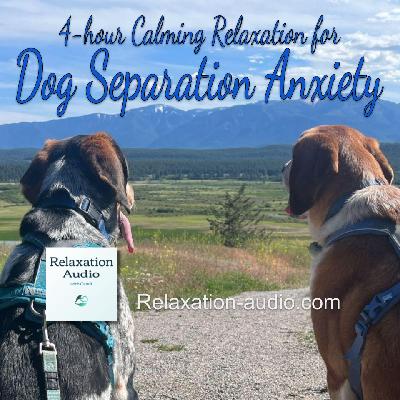4-Hour Calming Relaxation for Dog Separation Anxiety (with music)