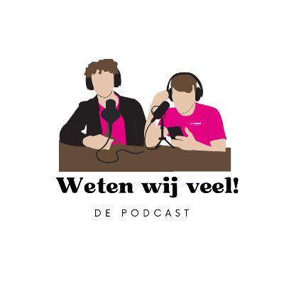 Pilot: Uitstellen maarrr