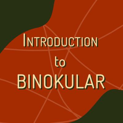 WHAT AND WHY BINOKULAR?