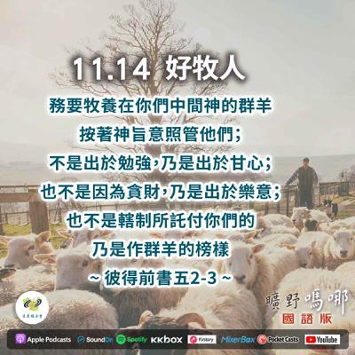 曠野嗎哪-好牧人 曠野嗎哪-好牧人