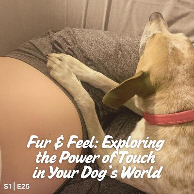 S1 I E25 Fur & Feel: Exploring the Power of Touch in Your Dog’s World