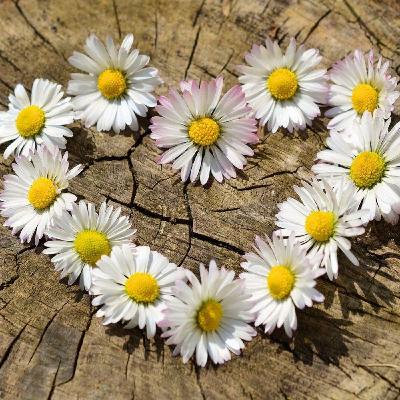 S1 Ep1503: Spring Gardening Tips With Charity Thrive