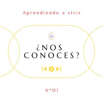 ¿Nos conoces?