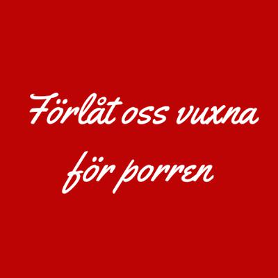 Förlåt oss vuxna för porren