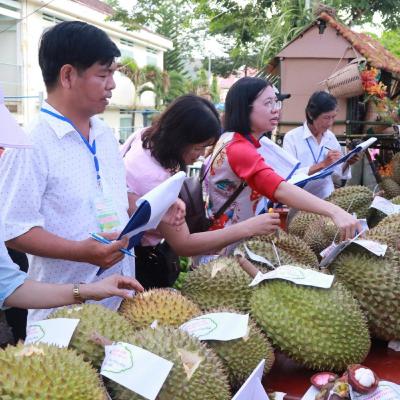 Sức sống hàng Việt - Thêm mã số vùng trồng, nâng cao giá trị thương hiệu sầu riêng Khánh Sơn