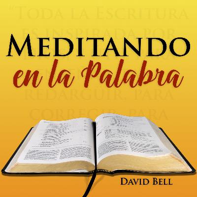 MelP_242 - Santiago_5_11