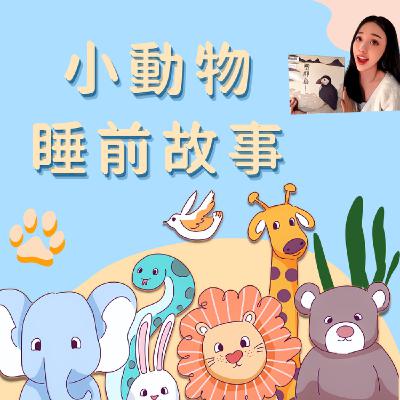【 莫兒跳跳 】小兔子的超能力