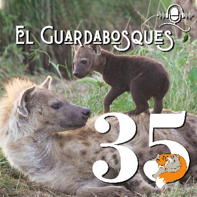 Ep. 35 | Feminismo Animal
