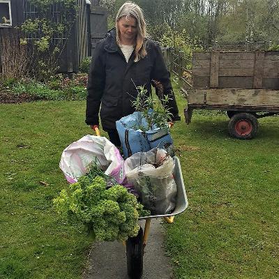 6: Grønt overskud - giv eller få gratis planter