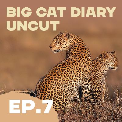 EPISODE 07: Big Cat Diary Uncut – '2005: Honey and Toto' EPISODE 07: Big Cat Diary Uncut – '2005: Honey and Toto'