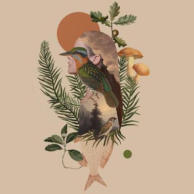 Imediatismo x Visão de longo prazo