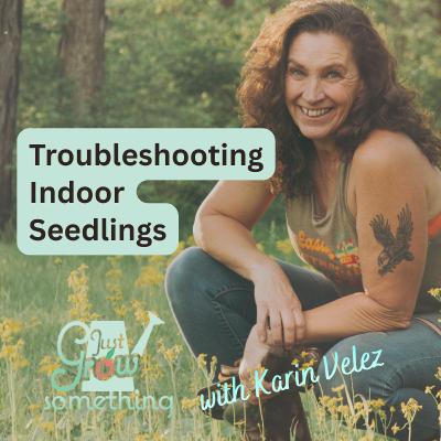 Indoor Seedling Troubleshooting - Ep. 288 Indoor Seedling Troubleshooting - Ep. 288