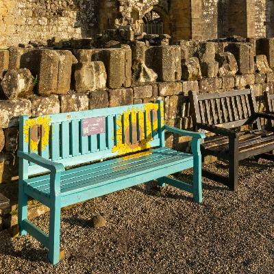 A call for ‘Chatty’ benches to be installed in North County Dublin