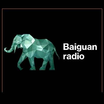US-China trade talks, India-Pak conflict, new stimulus policies in China, April export data - Baiguan Radio #30