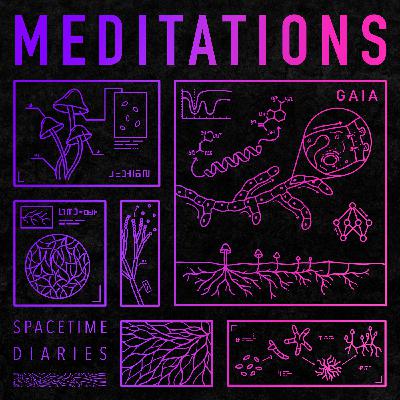 Meditations - Gaia (feat David Scott Russell)