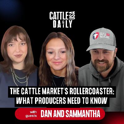 193: The Cattle Market’s Rollercoaster: What Producers Need to Know 193: The Cattle Market’s Rollercoaster: What Producers Need to Know