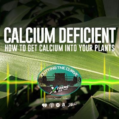 Farming Podcast | Calcium Deficiency in Crops | XtremeAg
