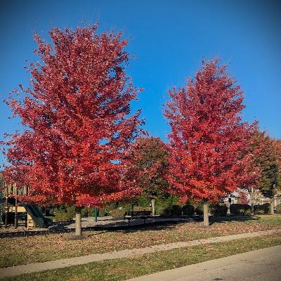 What Happened After We Left WCG? Guy Swenson What Happened After We Left WCG? Guy Swenson