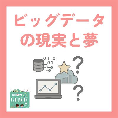 #25.ビッグデータの現実と夢