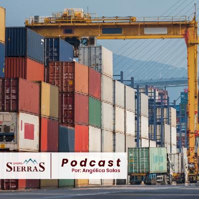 Saturación del puerto de Manzanillo; organización o falta de infraestructura Saturación del puerto de Manzanillo; organización o falta de infraestructura