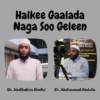 Halkee Gaalada Naga Soo Galeen?