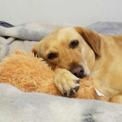 God Dwells in You God Dwells in You