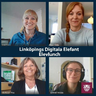 Elevlunch - digital lösning som stöd för elever och näringsliv