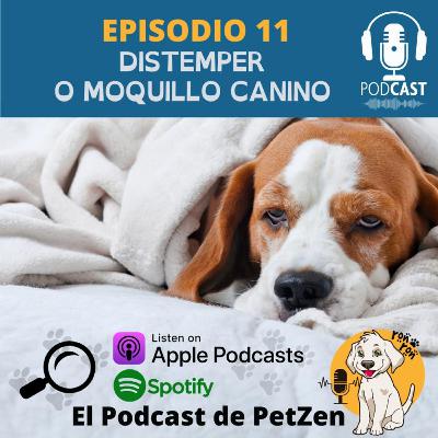 Episodio #11 Distemper Canino