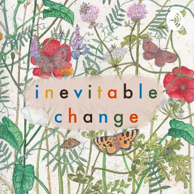 An Introduction to Permaculture 🌱