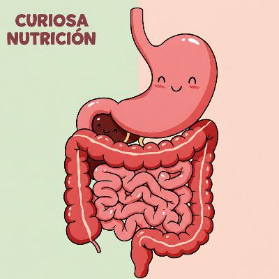 # Fundamentos 1 # Aparato digestivo: Un viaje interior