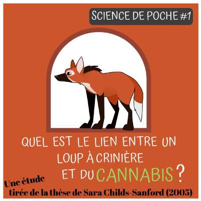 Science de poche #1 : un animal capable de produire du cannabis ?!