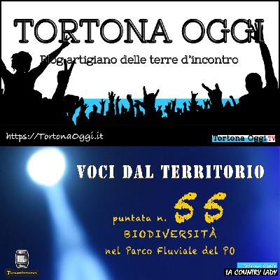 Podcast di VOCI DAL TERRITORIO 55 - Biodiversità nel Parco del Po piemontese