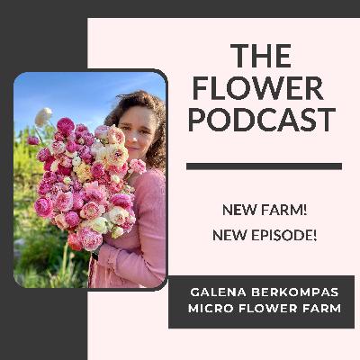 Starting Fresh with Galena Berkompas, Micro Flower Farm