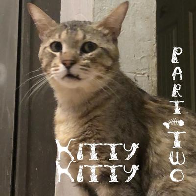 I'm Sorry If I Scared You Season 2 Episode 2: Kitty Kitty Part 2