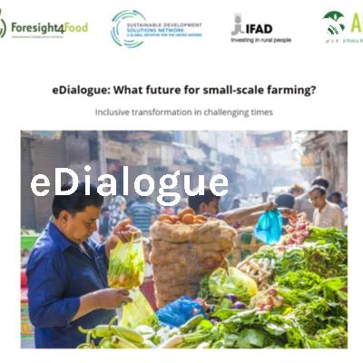 eDialogue_Policy Implications