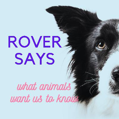 What Animals Want Us To Know Minisode