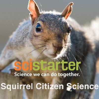 Squirrely Citizen Science Squirrely Citizen Science